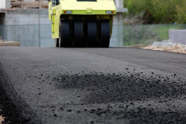 Best Best Driveway Pavers  in Cheval, FL